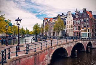 shutterstock_105440606_groot